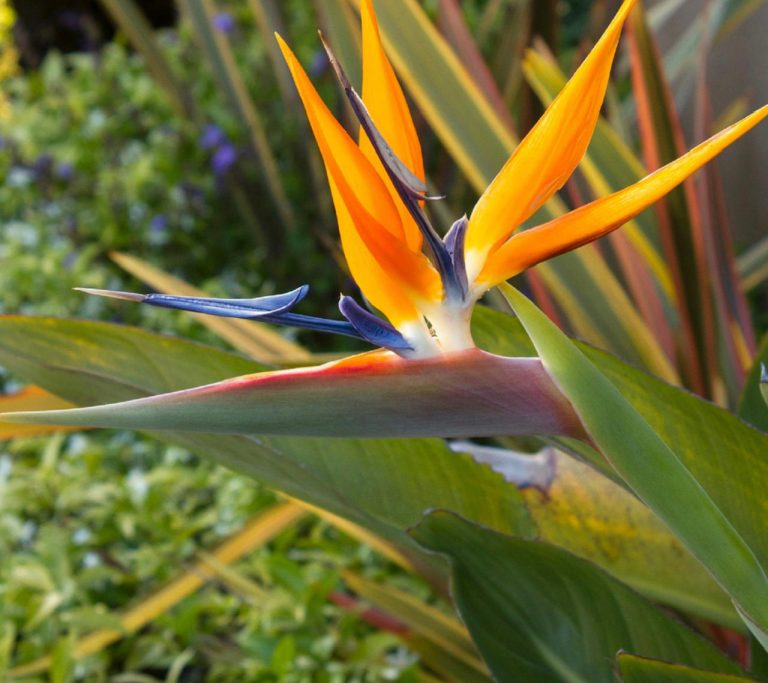 Home Newell Lawn Care and Property Maintenance